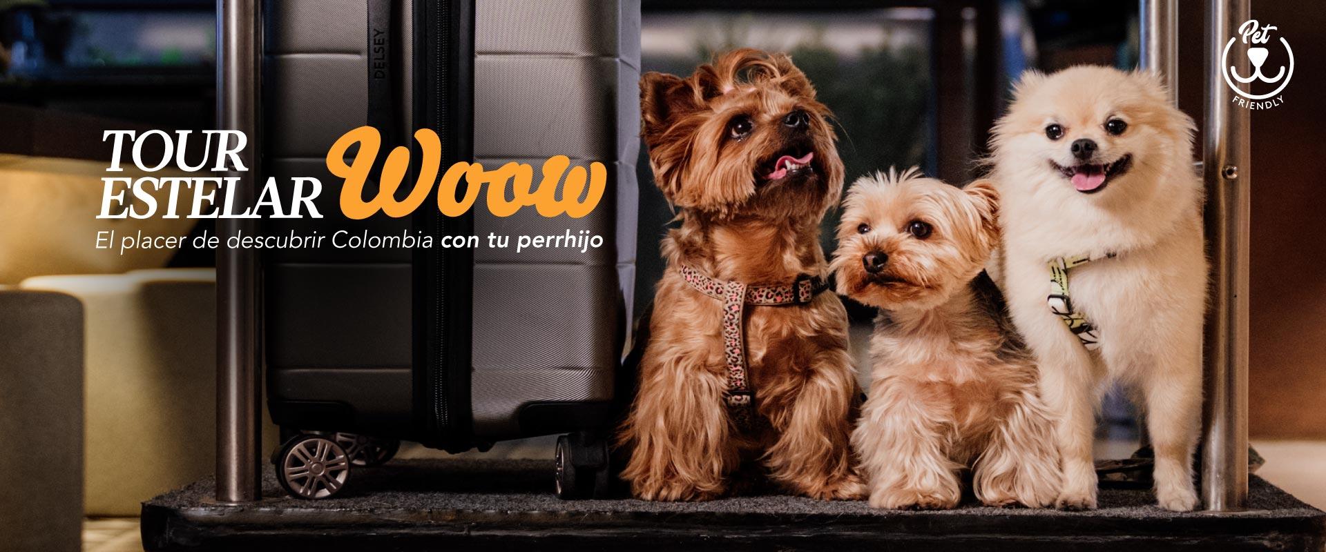 ESTELAR Apartamentos Bogotá Colombia - Bogotá ESTELAR Apartamentos Bogotá Colombia - Bogotá